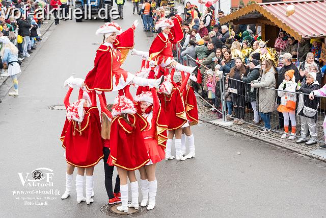 Foto Laudi_faschingszug_pleinting-45.jpg